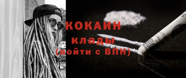 дживик Бородино