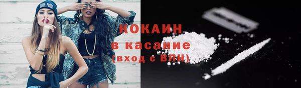 дживик Бородино