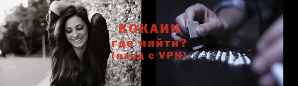 дживик Бородино