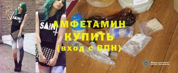 дживик Бородино