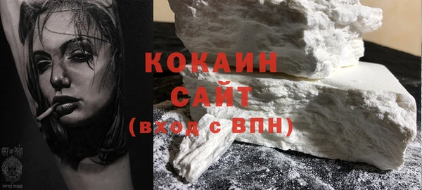 дживик Бородино