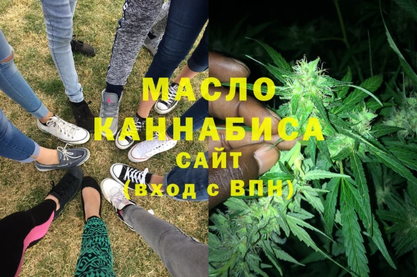 дживик Бородино