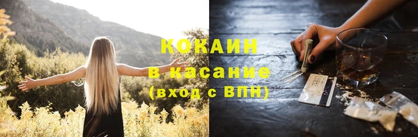 дживик Бородино